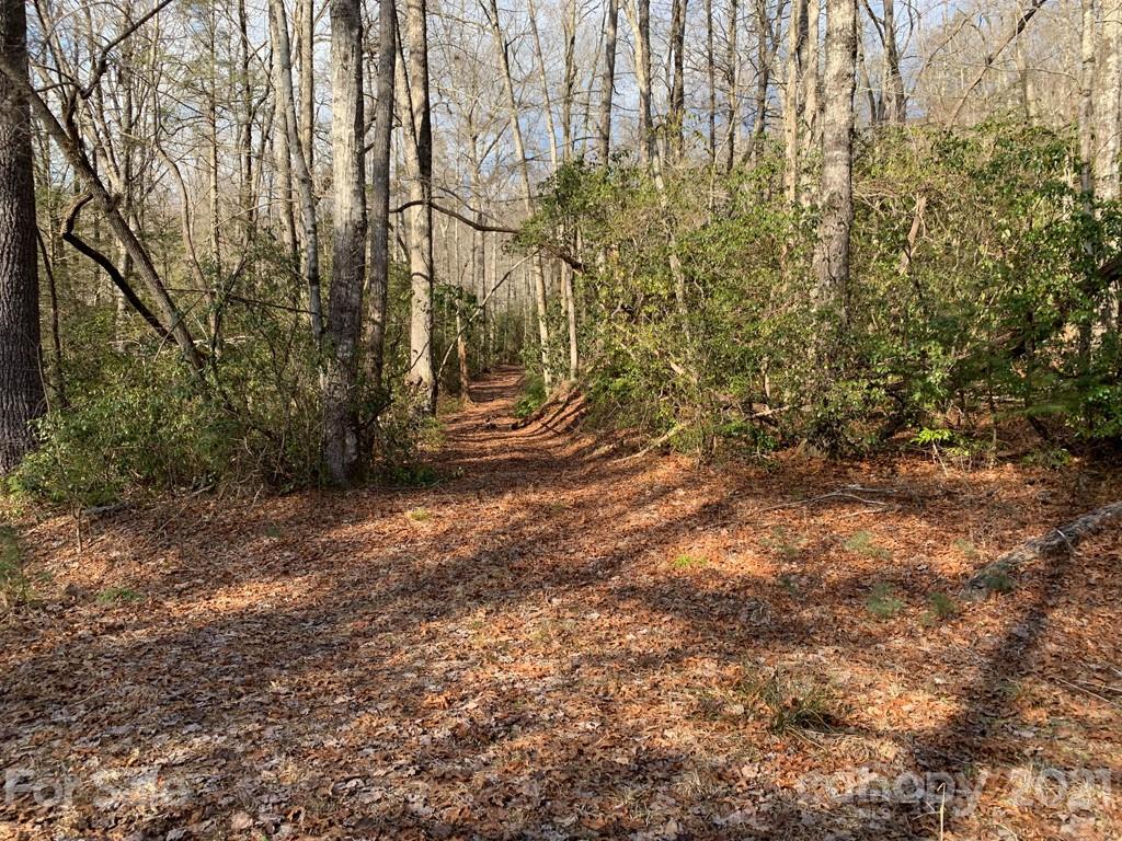 C Hunter's Ridge, Unit PARCEL C Brevard, NC 28712 - Photo 5 of 13 a view of outdoor space and a yard