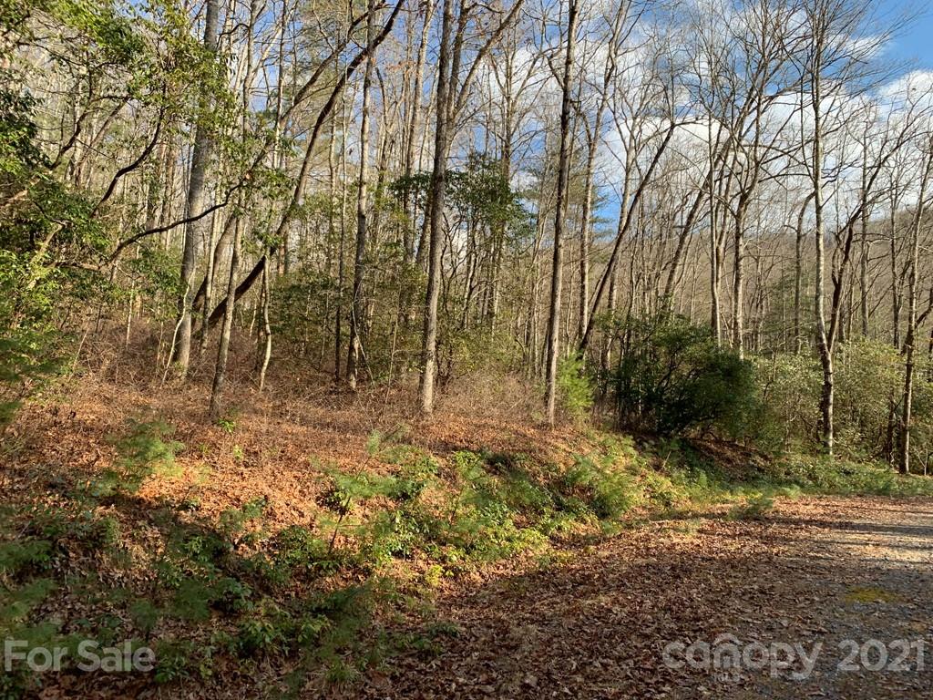 C Hunter's Ridge, Unit PARCEL C Brevard, NC 28712 - Photo 7 of 13 a view of backyard with tree