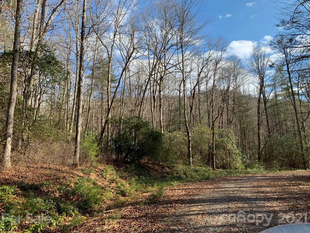 C Hunter's Ridge, Unit PARCEL C Brevard, NC 28712 - Photo 8 of 13 a view of a yard with trees