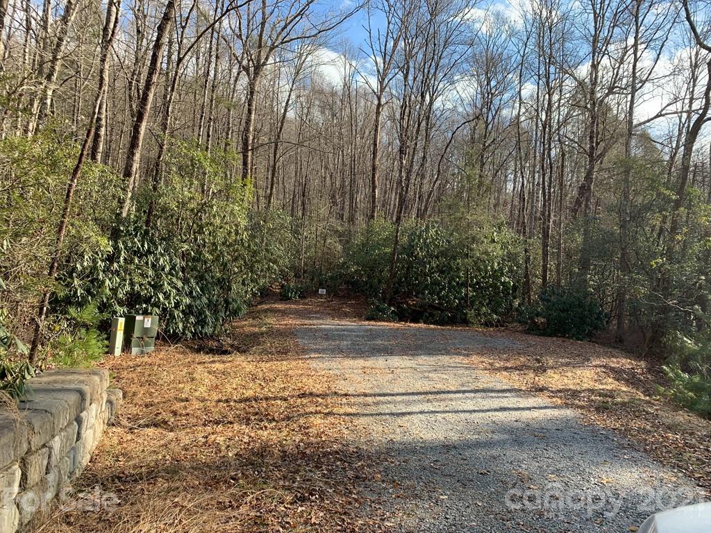 C Hunter's Ridge, Unit PARCEL C Brevard, NC 28712 - Photo 10 of 13 a view of a yard with large trees