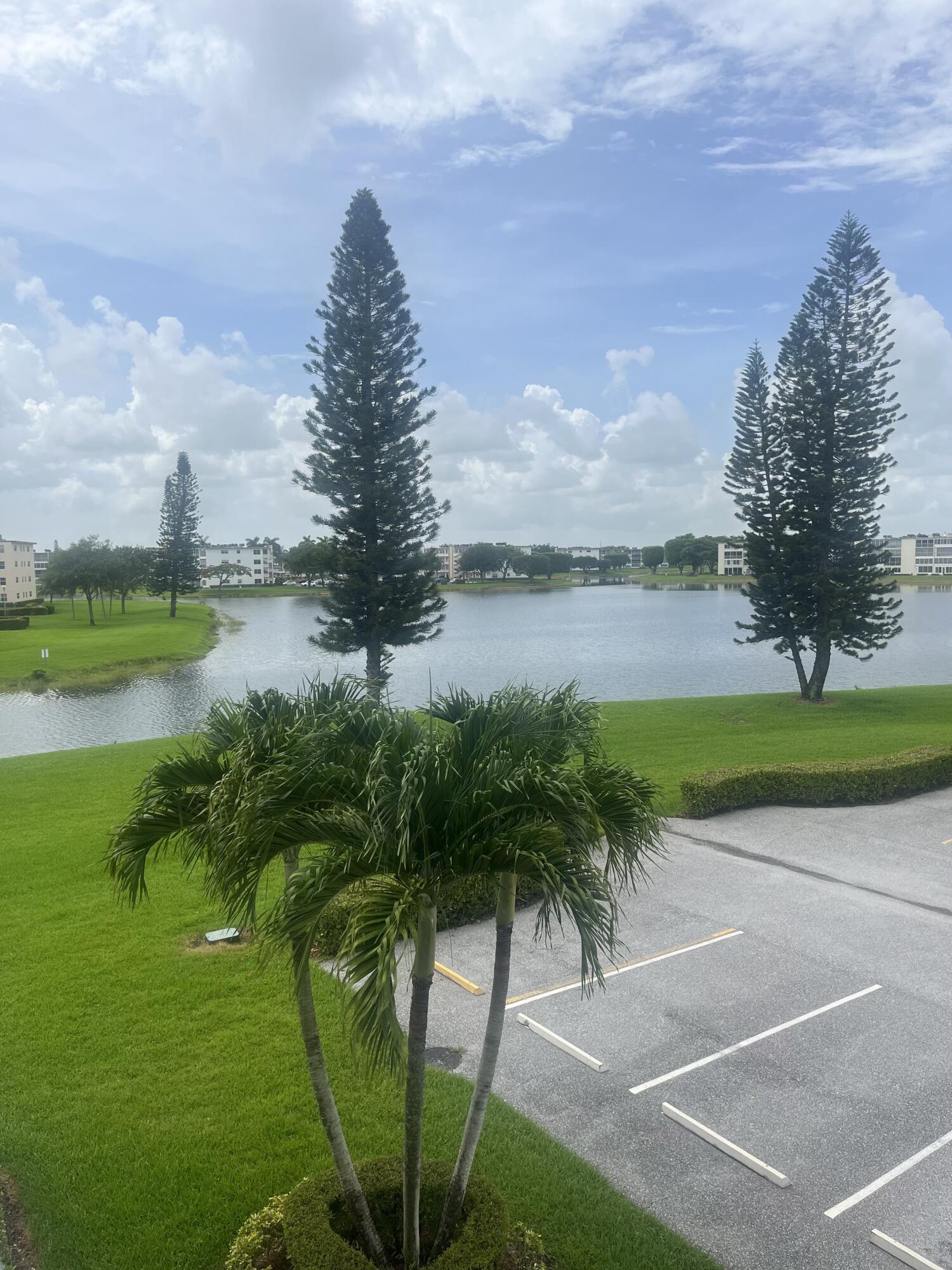 a view of a lake with a big yard and palm trees