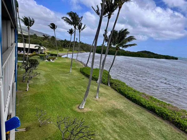 a view of a park