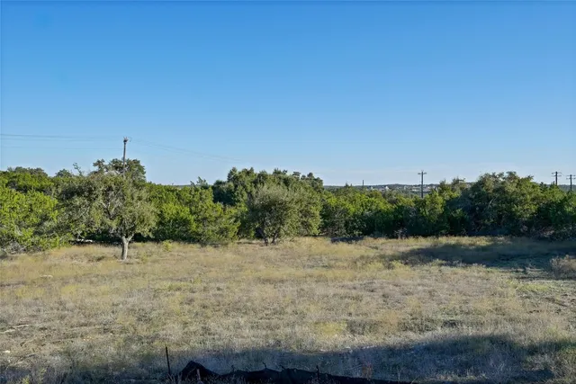 a view of a yard with a tree
