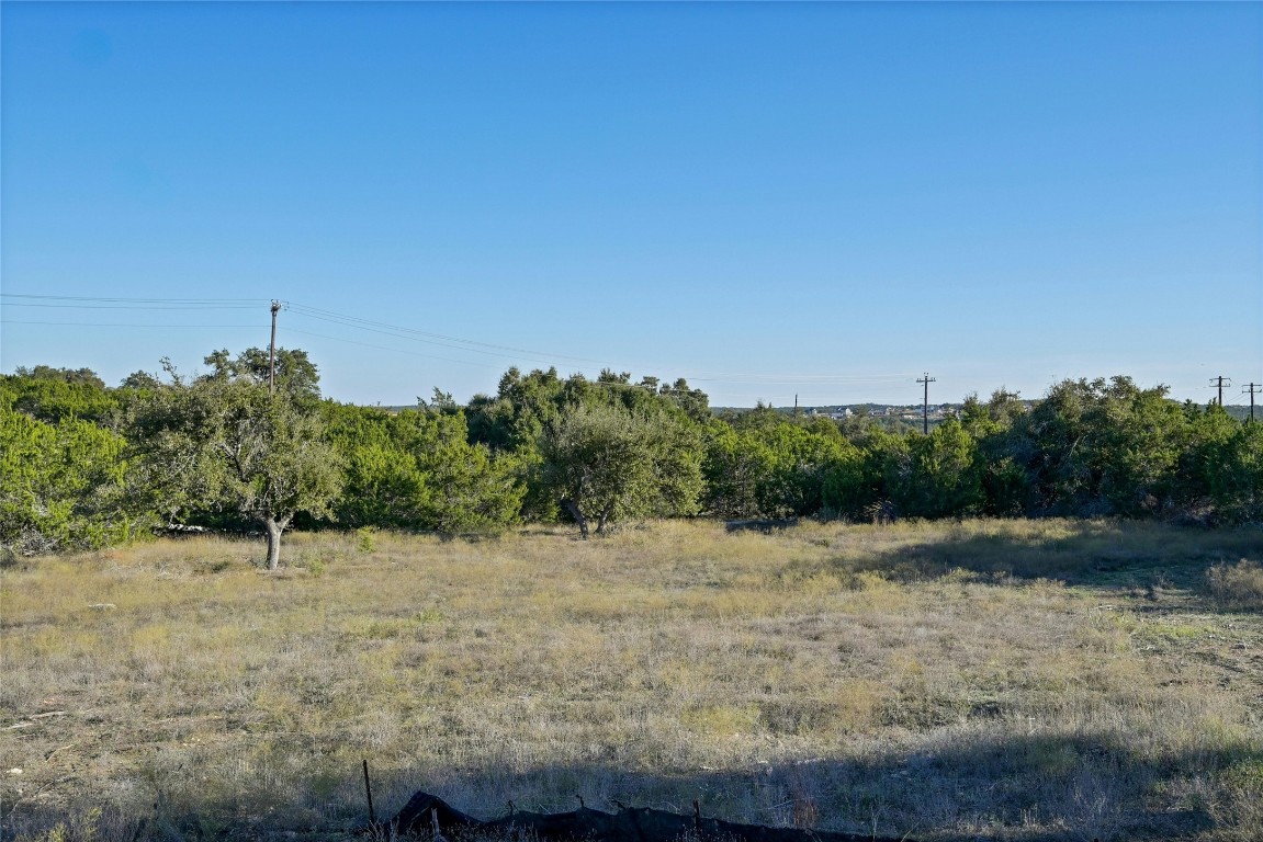 5905 Madrone Tree Lane Austin, TX 78738 - Photo 5 of 25 a view of a field with a tree