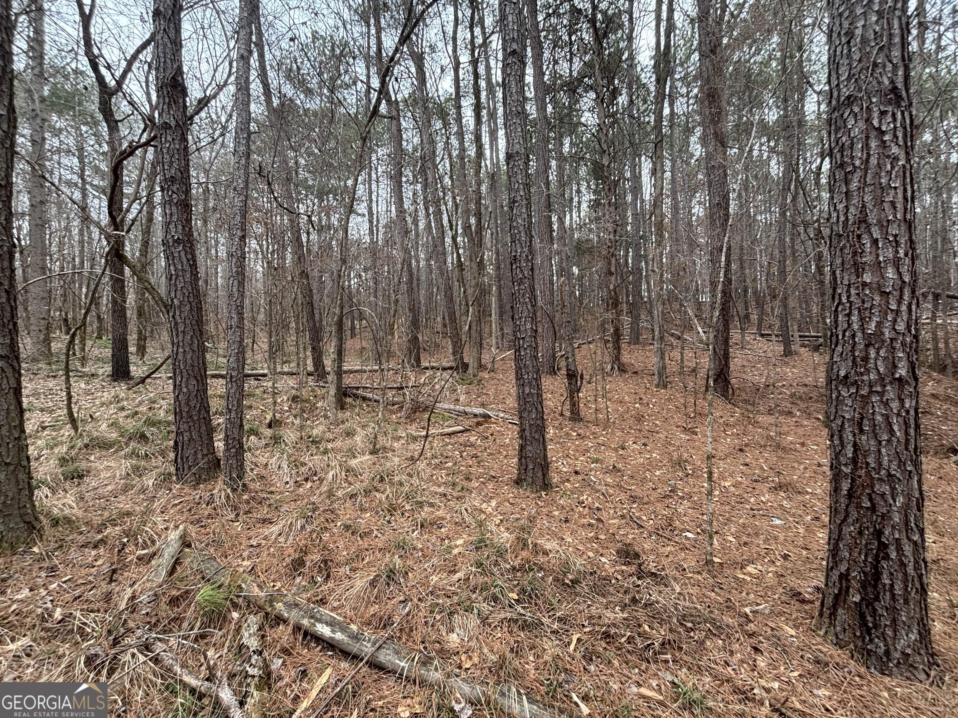0 Oconee Road Buckhead, GA 30625 - Photo 3 of 9 a backyard of a house with lots of green space