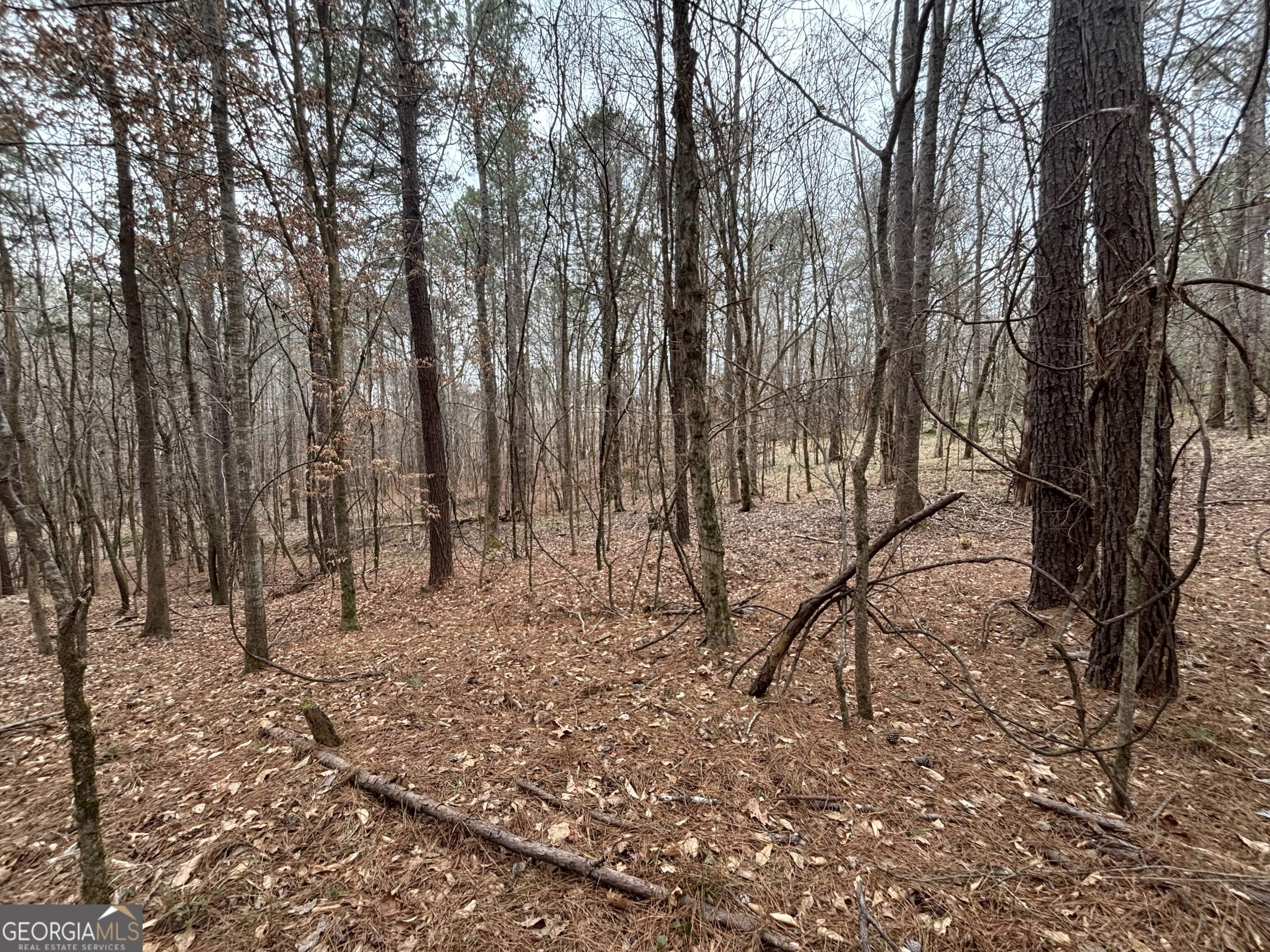 0 Oconee Road Buckhead, GA 30625 - Photo 5 of 9 a view of outdoor space with lots of trees
