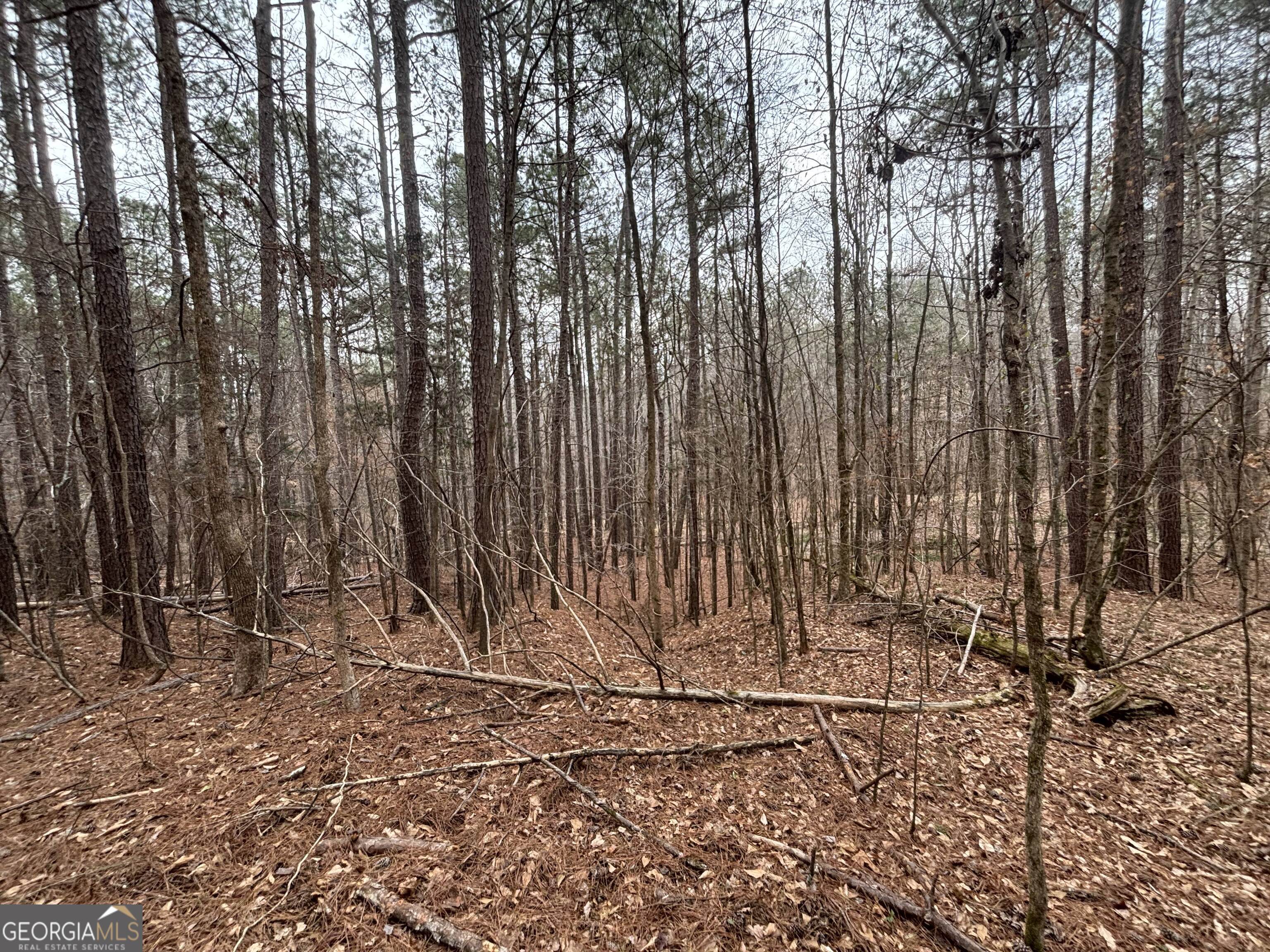 0 Oconee Road Buckhead, GA 30625 - Photo 6 of 9 a view of wooden fence
