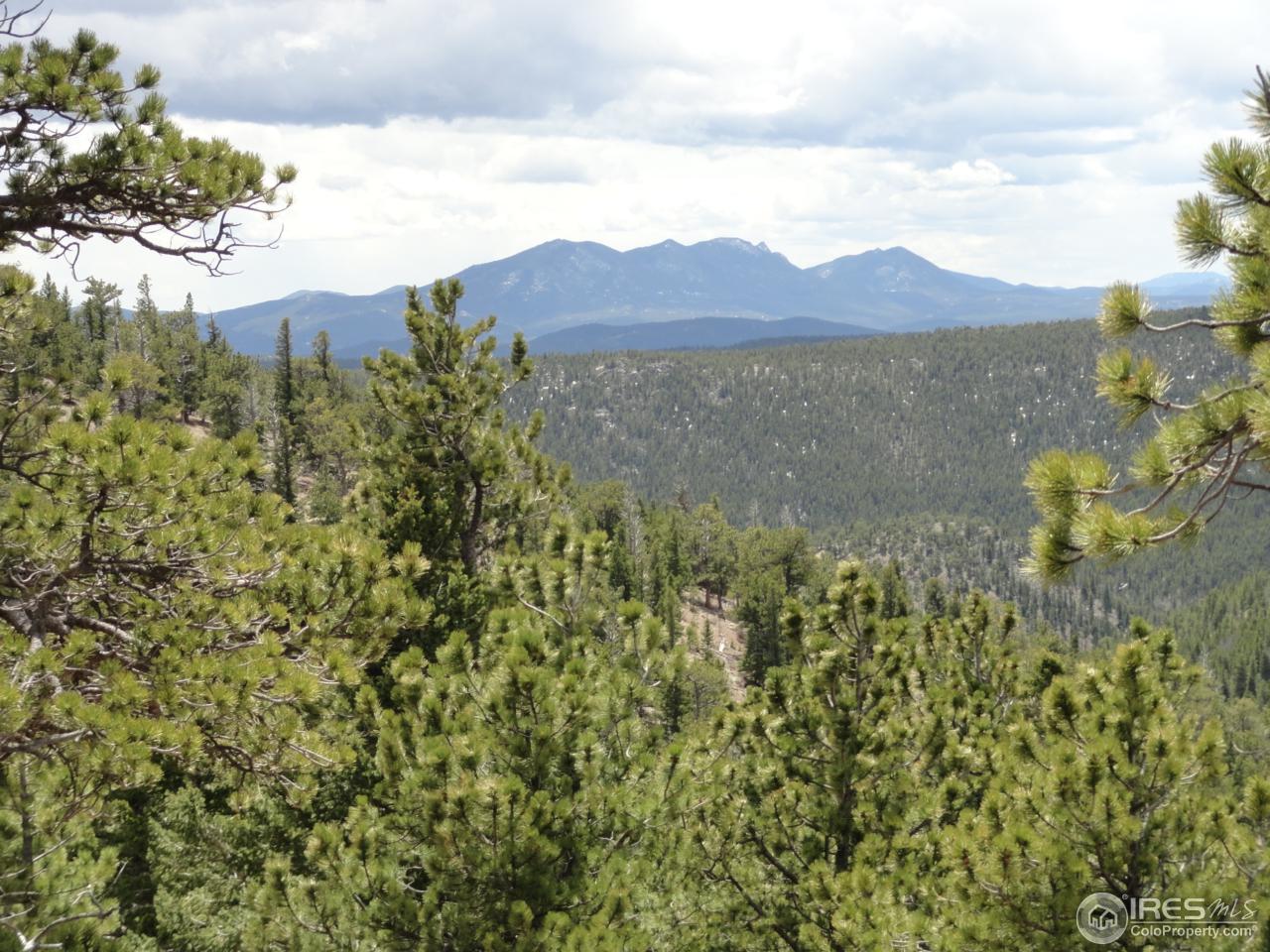 0 Indiana Gulch Road Jamestown, CO 80455 - Photo 1 of 24 Gallery Image 1
