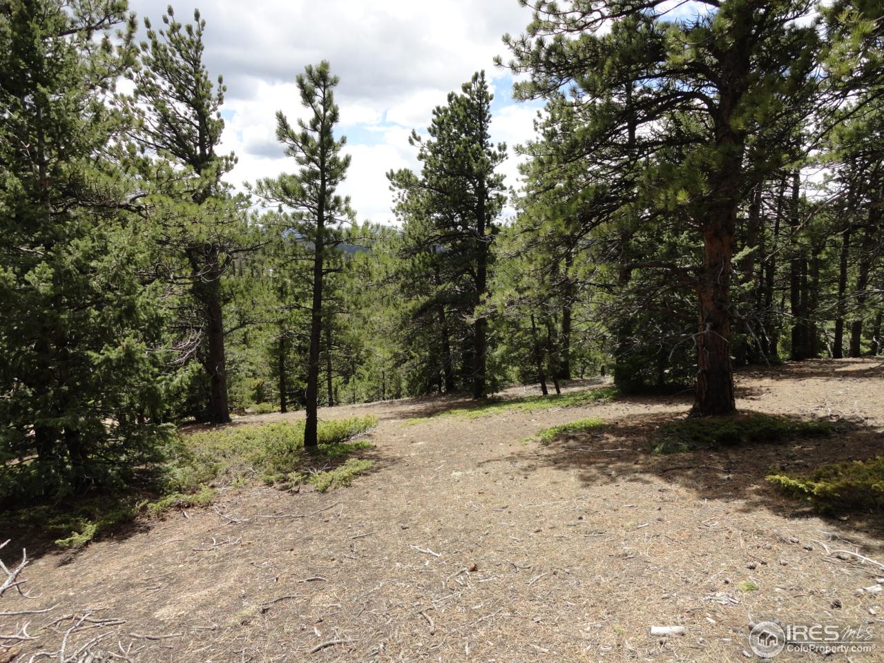 0 Indiana Gulch Road Jamestown, CO 80455 - Photo 11 of 24 Gallery Image 11