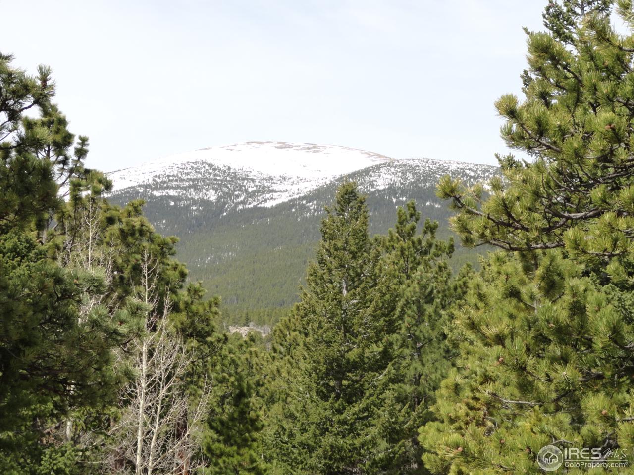 0 Indiana Gulch Road Jamestown, CO 80455 - Photo 12 of 24 Gallery Image 12
