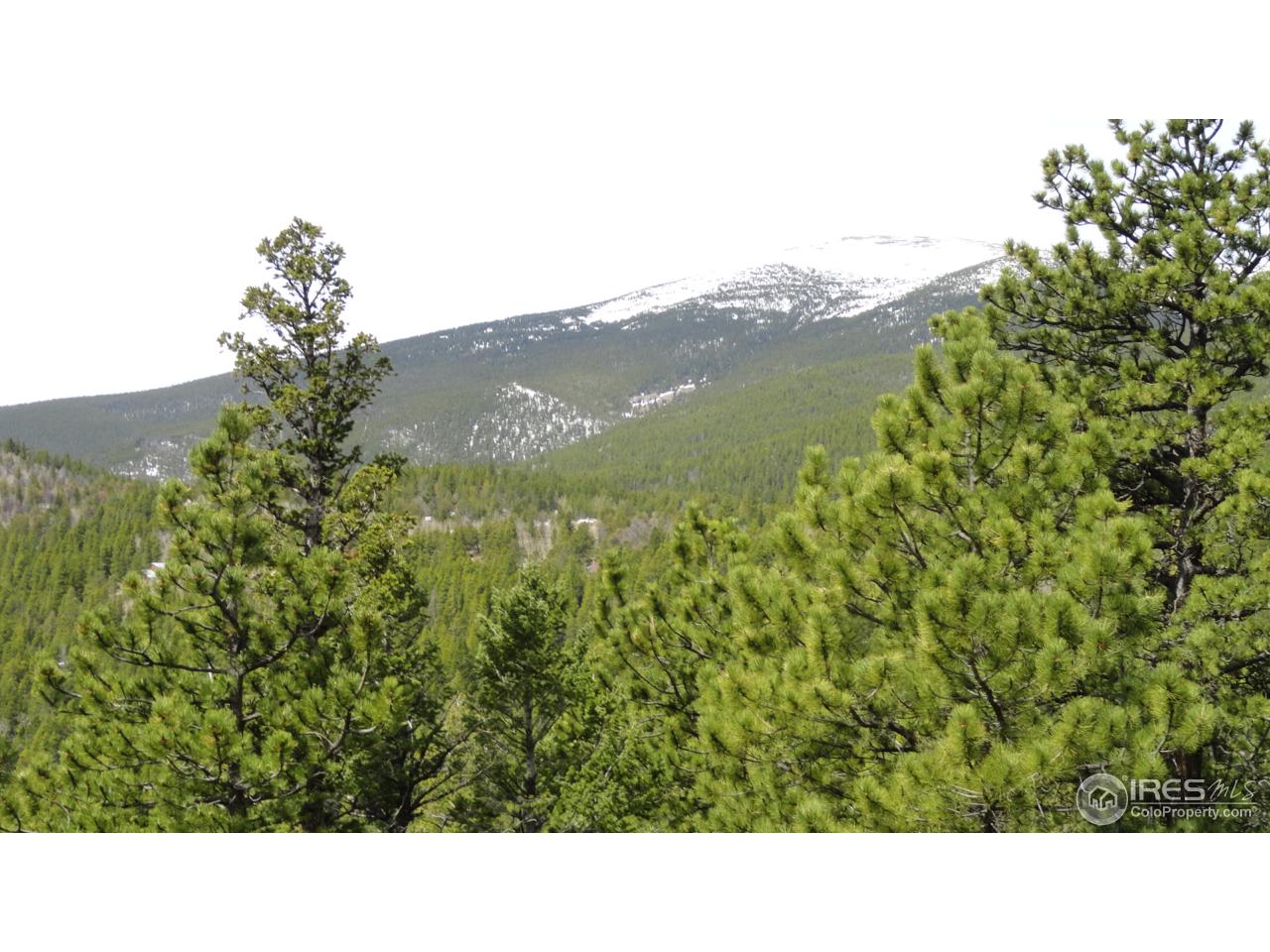 0 Indiana Gulch Road Jamestown, CO 80455 - Photo 13 of 24 Gallery Image 13