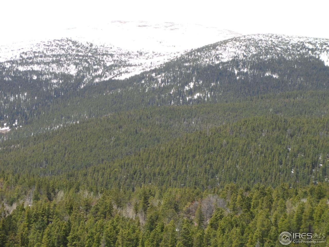 0 Indiana Gulch Road Jamestown, CO 80455 - Photo 14 of 24 Gallery Image 14