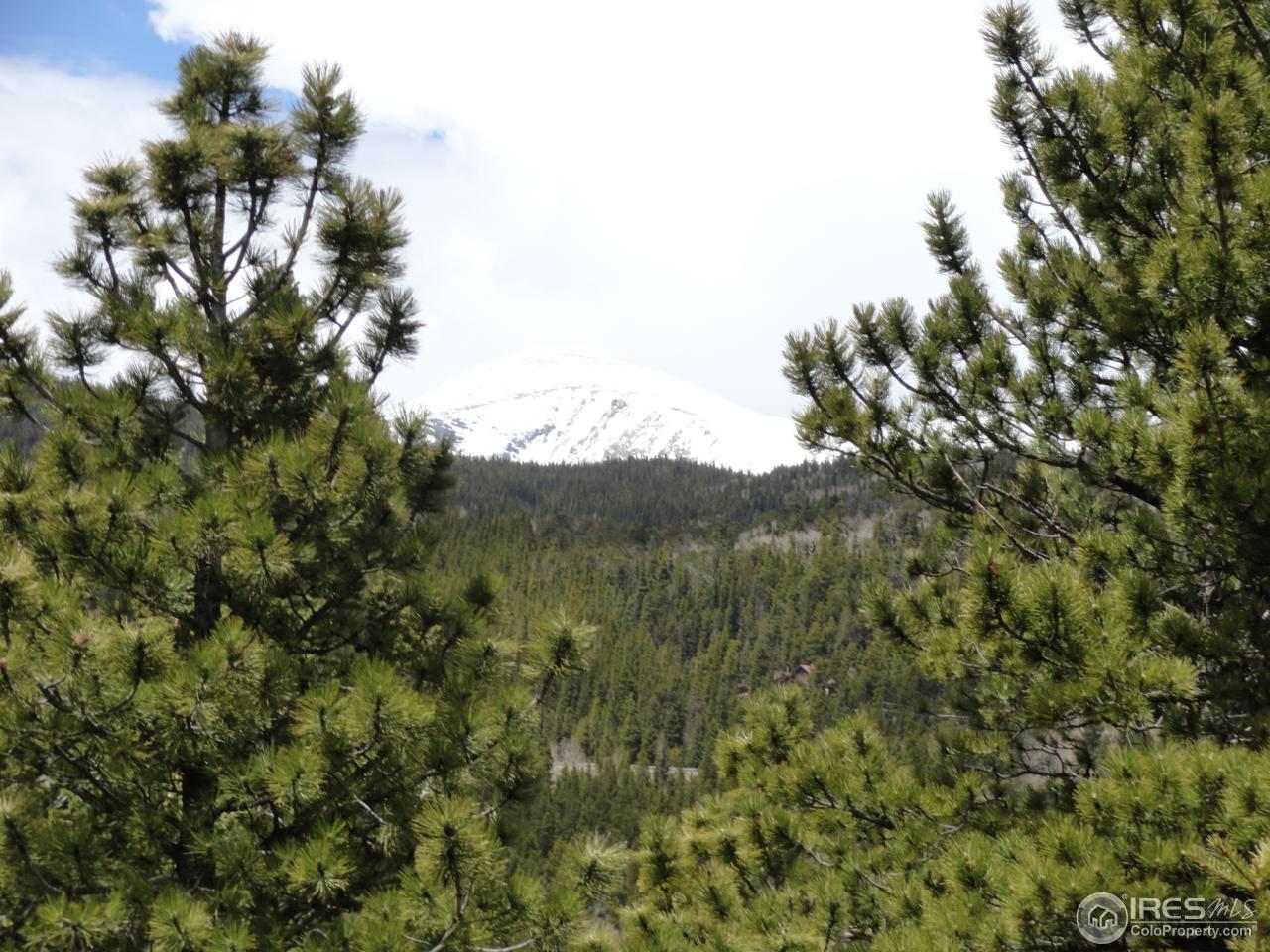 0 Indiana Gulch Road Jamestown, CO 80455 - Photo 16 of 24 Gallery Image 16