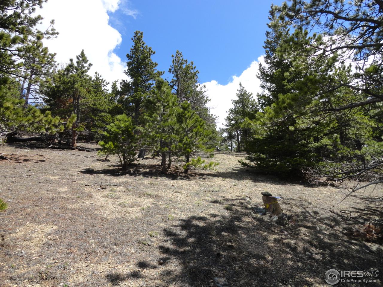 0 Indiana Gulch Road Jamestown, CO 80455 - Photo 17 of 24 Gallery Image 17