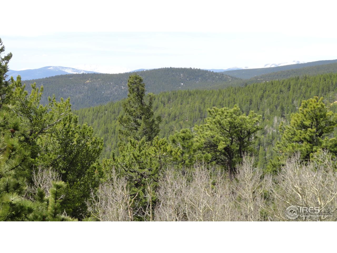0 Indiana Gulch Road Jamestown, CO 80455 - Photo 18 of 24 Gallery Image 18