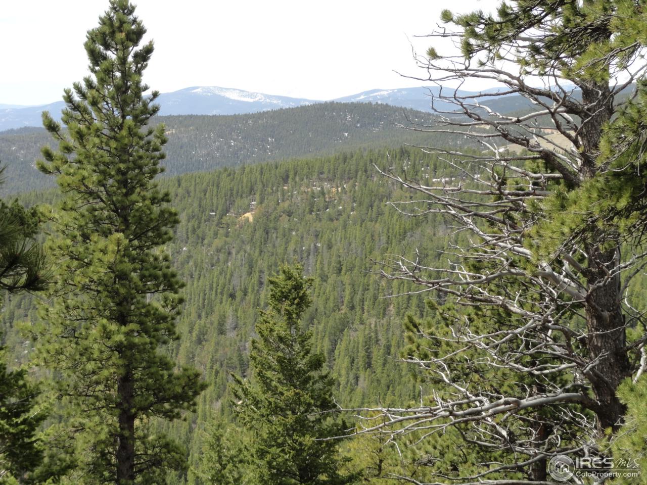 0 Indiana Gulch Road Jamestown, CO 80455 - Photo 19 of 24 Gallery Image 19