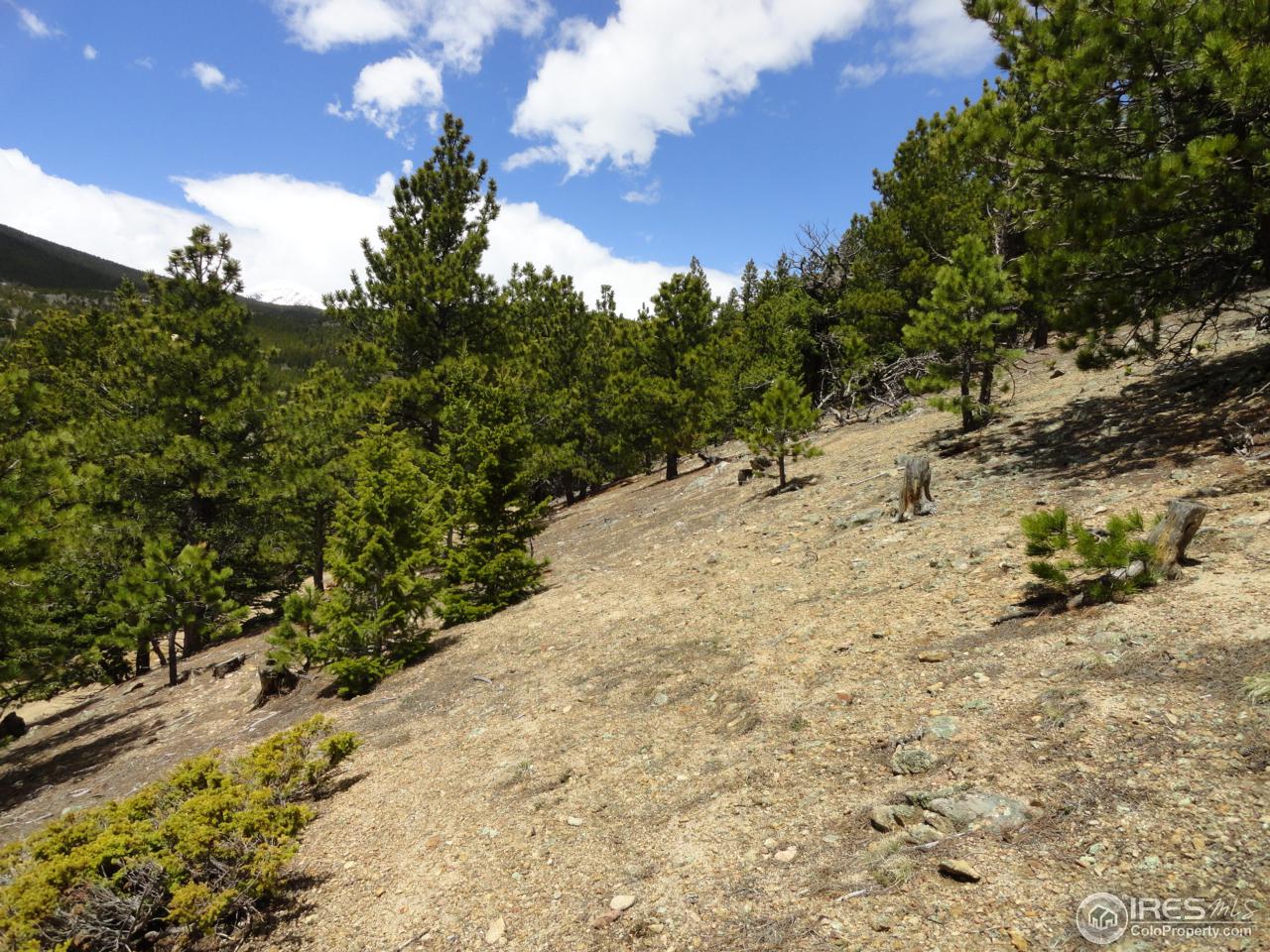 0 Indiana Gulch Road Jamestown, CO 80455 - Photo 20 of 24 Gallery Image 20