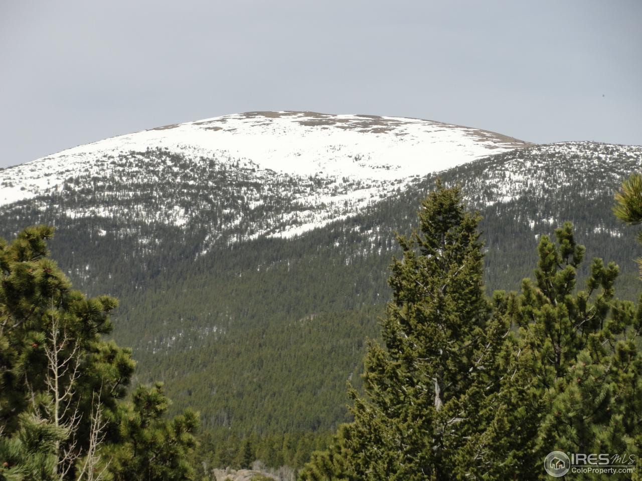 0 Indiana Gulch Road Jamestown, CO 80455 - Photo 2 of 24 Gallery Image 2