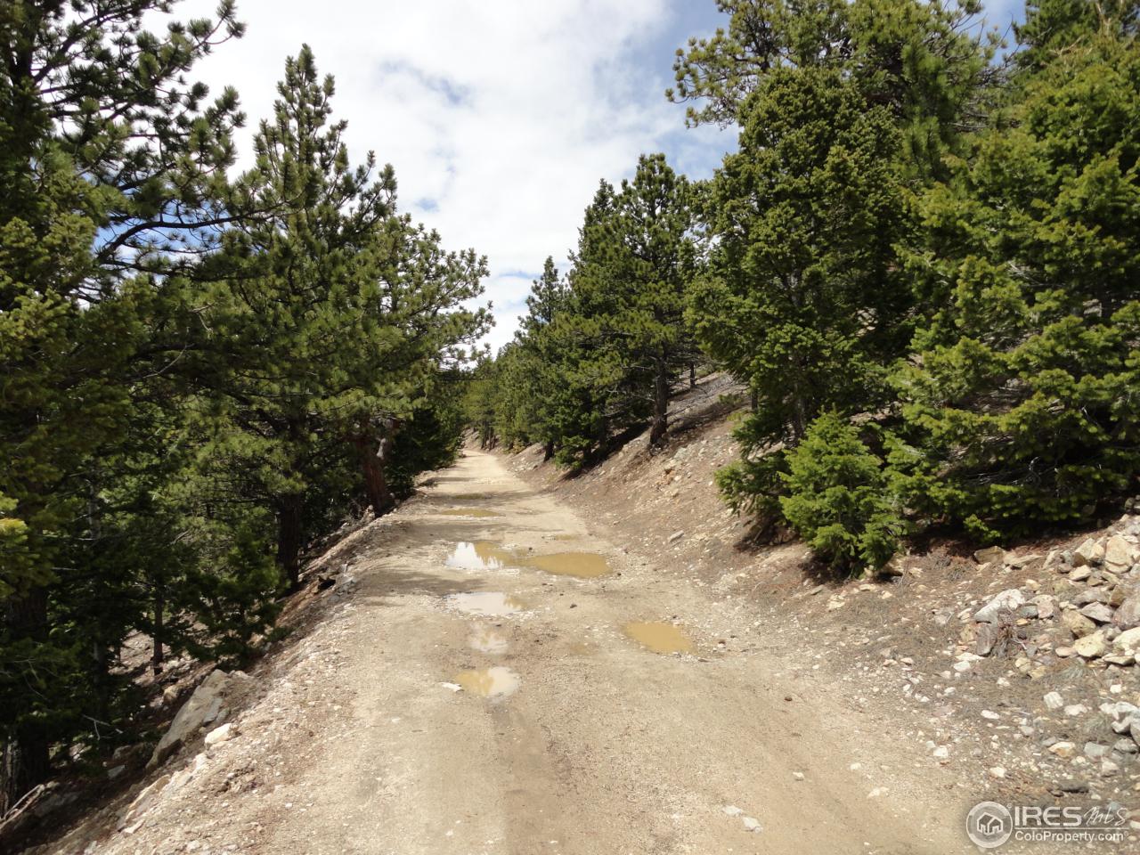 0 Indiana Gulch Road Jamestown, CO 80455 - Photo 21 of 24 Gallery Image 21