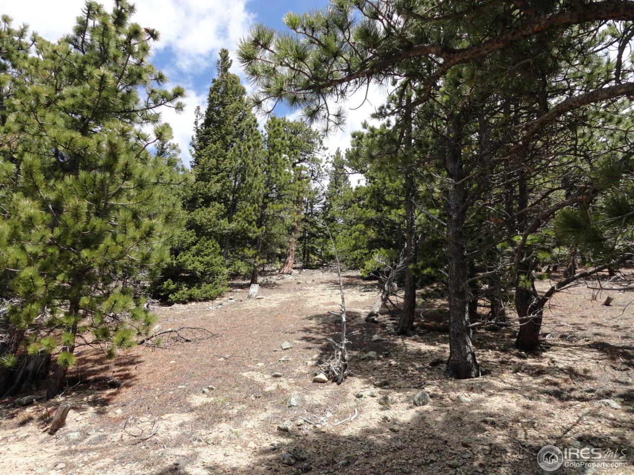 0 Indiana Gulch Road Jamestown, CO 80455 - Photo 22 of 24 Gallery Image 22