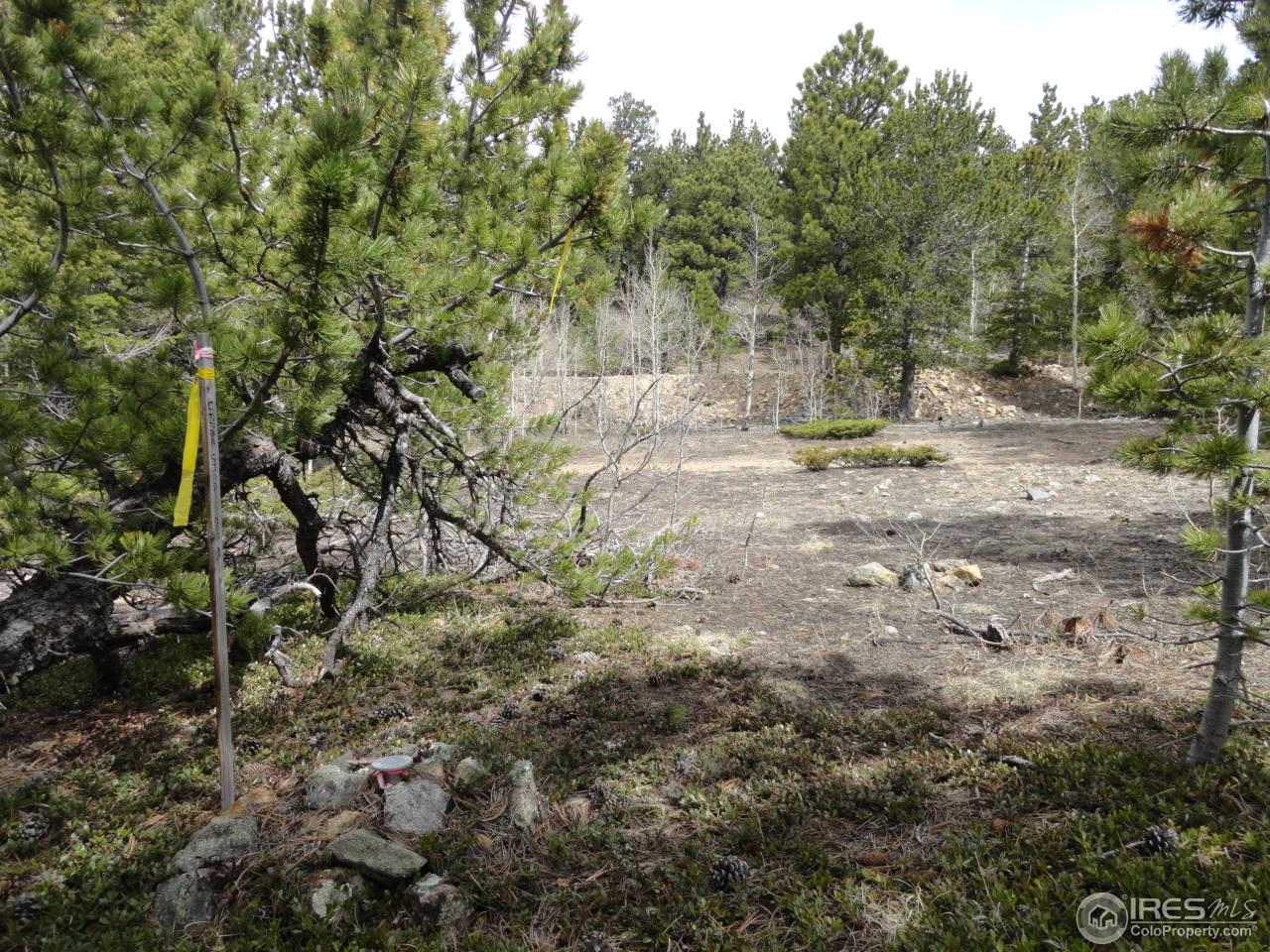 0 Indiana Gulch Road Jamestown, CO 80455 - Photo 23 of 24 Gallery Image 23