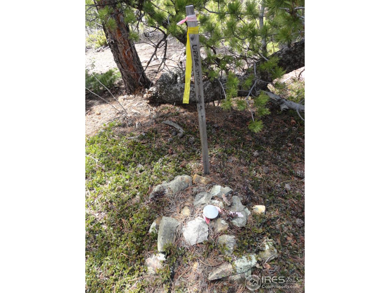 0 Indiana Gulch Road Jamestown, CO 80455 - Photo 24 of 24 Gallery Image 24