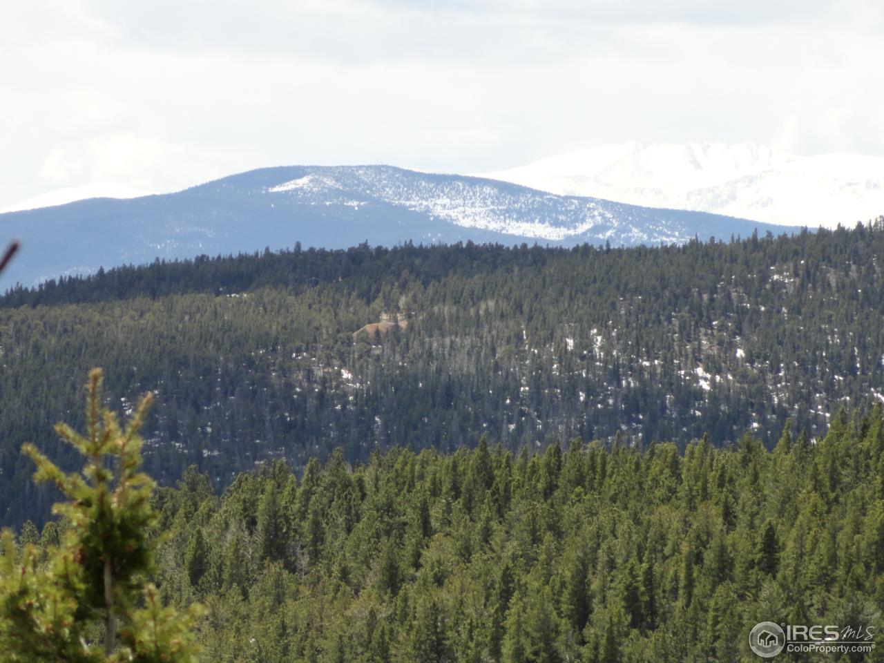 0 Indiana Gulch Road Jamestown, CO 80455 - Photo 3 of 24 Gallery Image 3