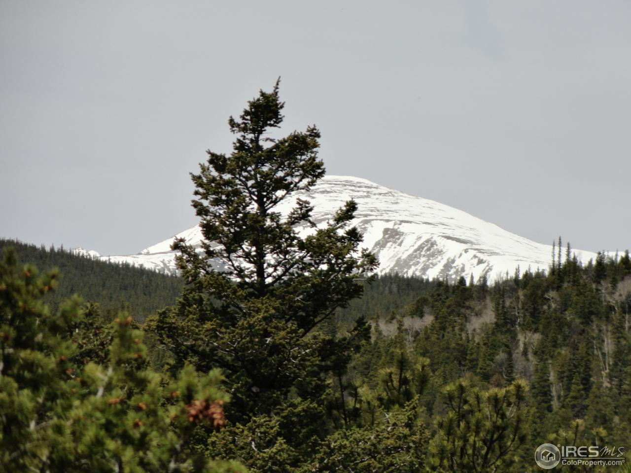 0 Indiana Gulch Road Jamestown, CO 80455 - Photo 4 of 24 Gallery Image 4