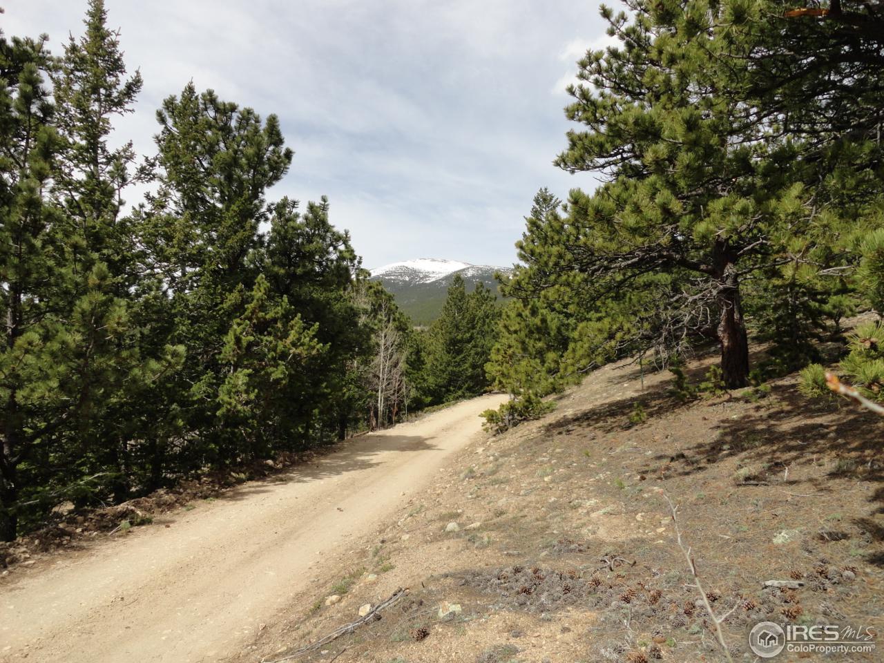 0 Indiana Gulch Road Jamestown, CO 80455 - Photo 5 of 24 Gallery Image 5