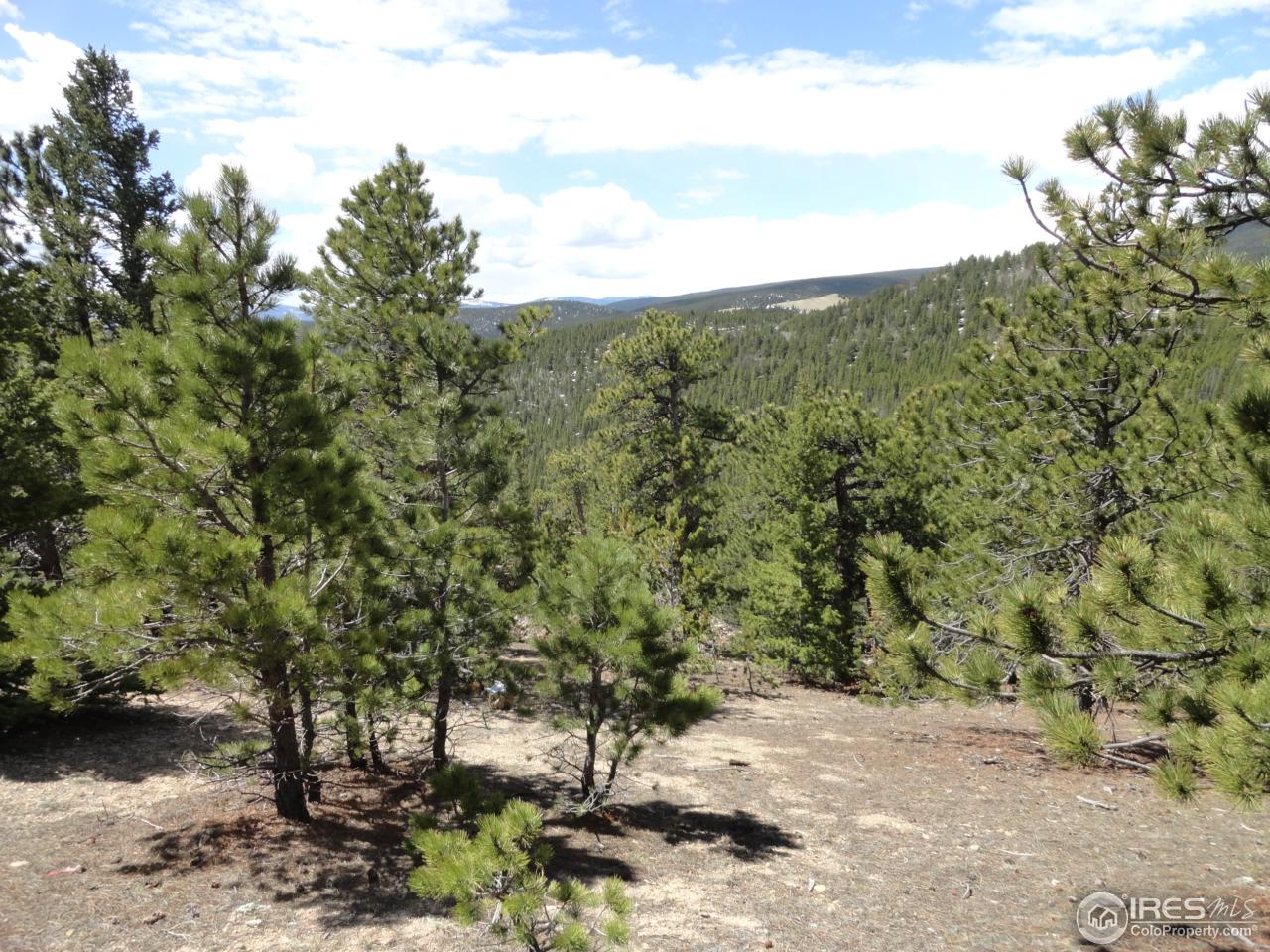 0 Indiana Gulch Road Jamestown, CO 80455 - Photo 6 of 24 Gallery Image 6