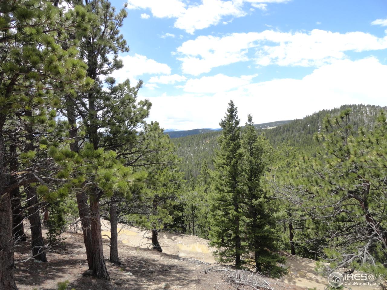 0 Indiana Gulch Road Jamestown, CO 80455 - Photo 7 of 24 Gallery Image 7