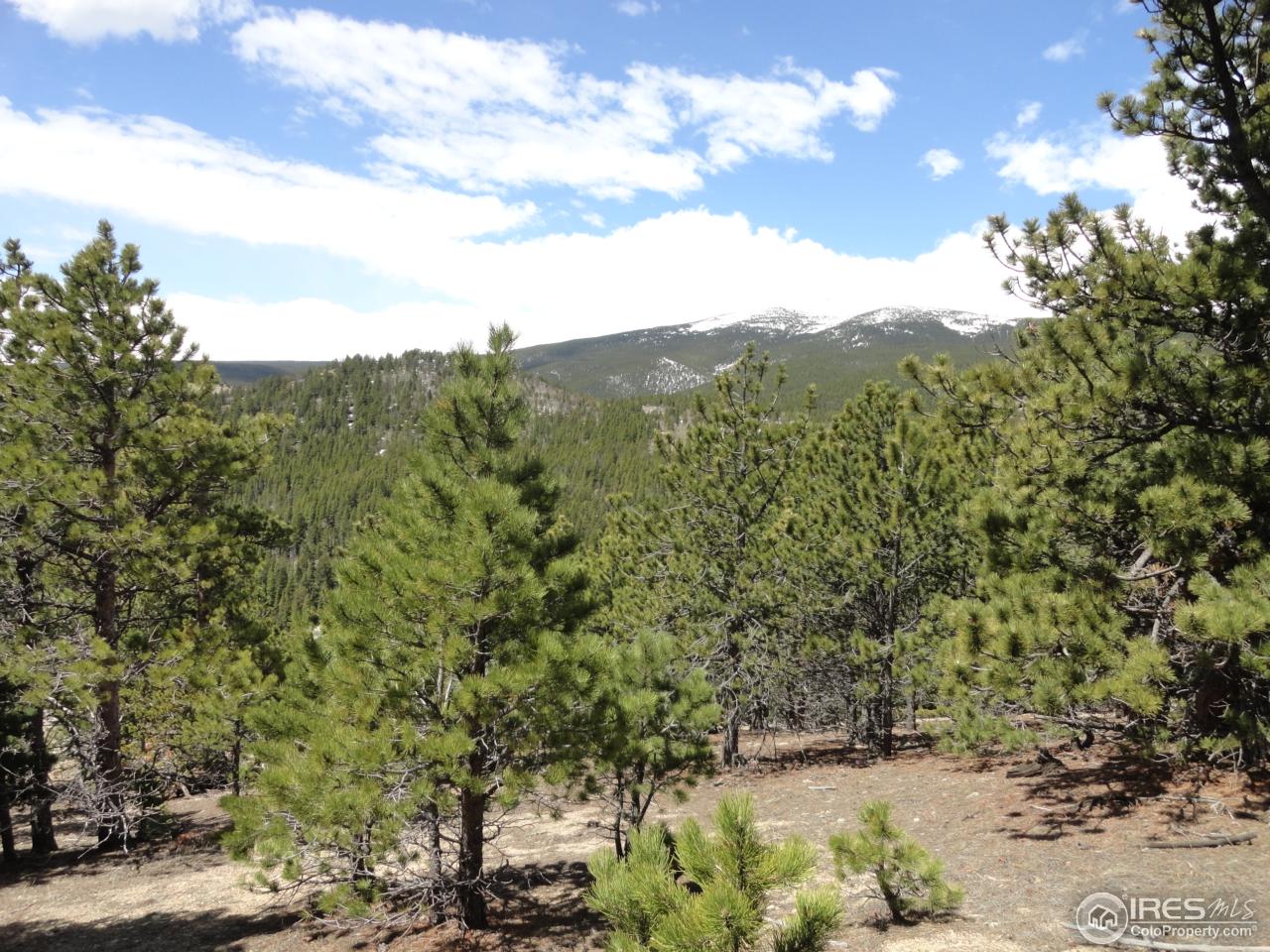 0 Indiana Gulch Road Jamestown, CO 80455 - Photo 8 of 24 Gallery Image 8