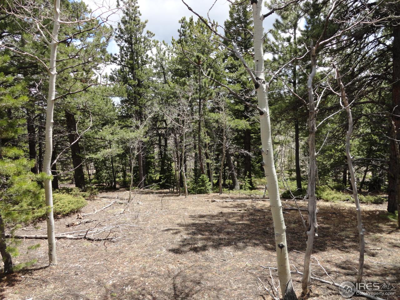 0 Indiana Gulch Road Jamestown, CO 80455 - Photo 10 of 24 Gallery Image 10