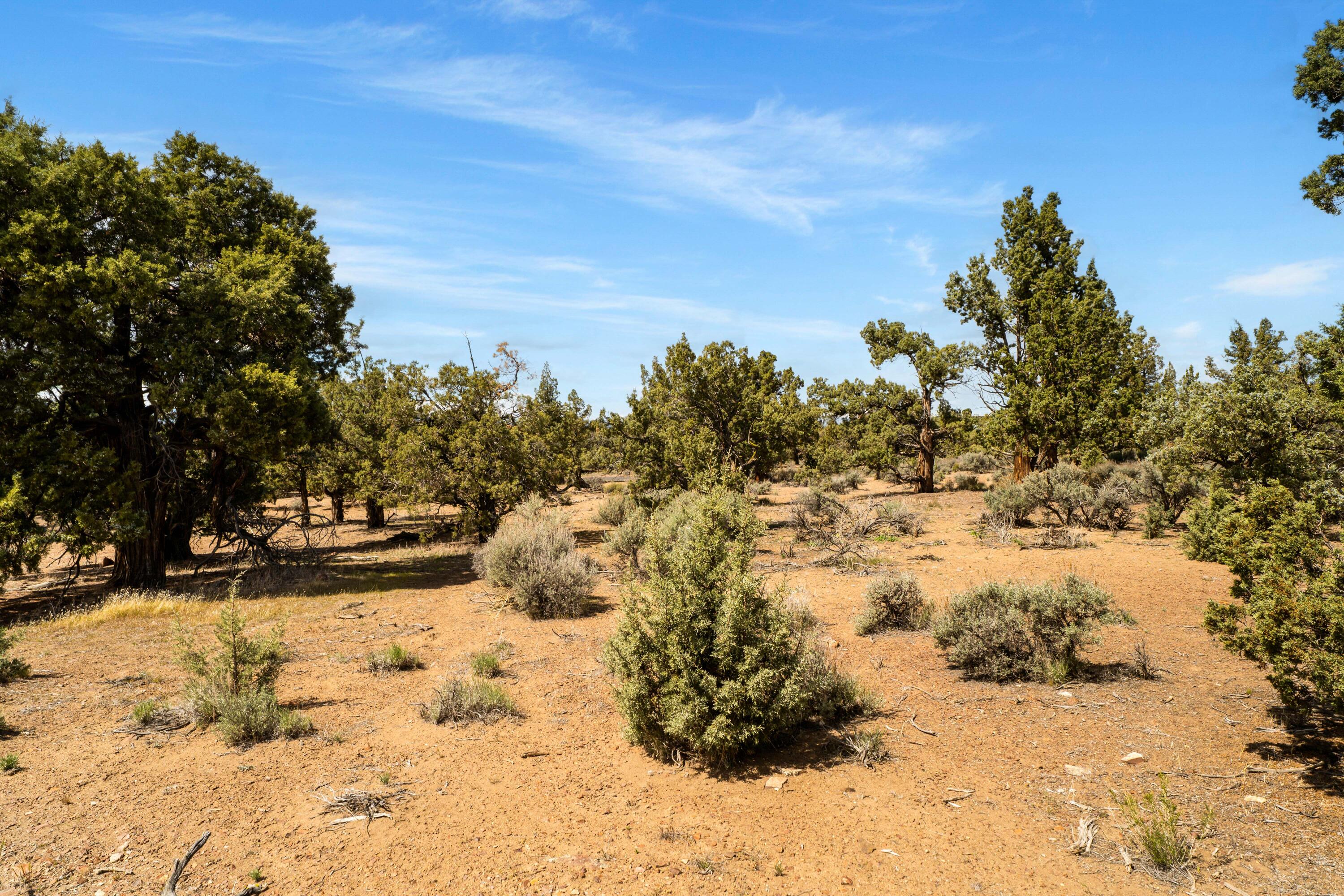 16539 South W Vaqueros Way, Unit 6 Powell Butte, OR 97753 - Photo 8 of 25 11-Lot 6