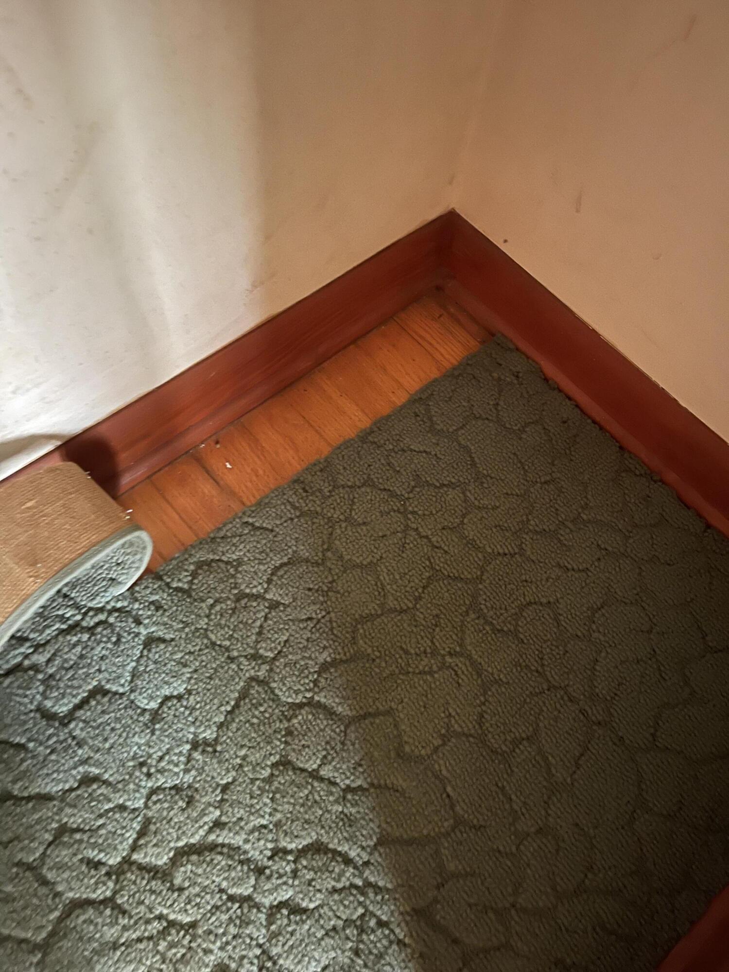 748 Old Jonesboro Road Bristol, TN 37620 - Photo 23 of 42 8F5513FB-0949-4436-AF8E-13BE747AC1CB