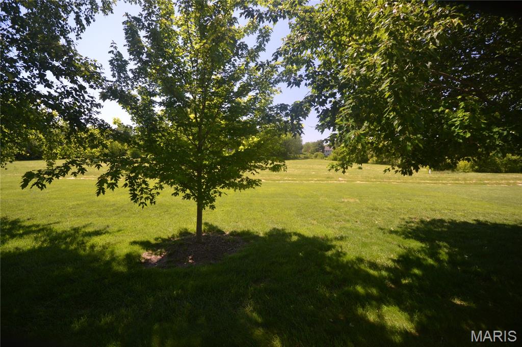 3728 Rhetts Landing Shiloh, IL 62221 - Photo 45 of 48