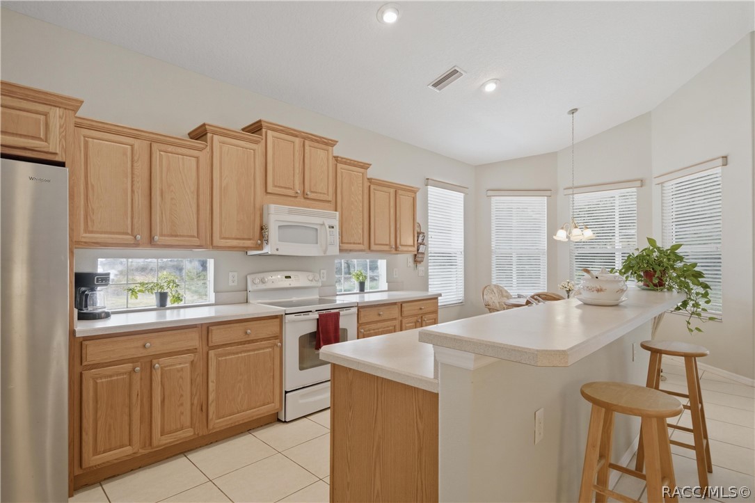 165 West Doerr Path Hernando, FL 34442 - Photo 13 of 57
