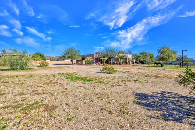 a view of road with large trees