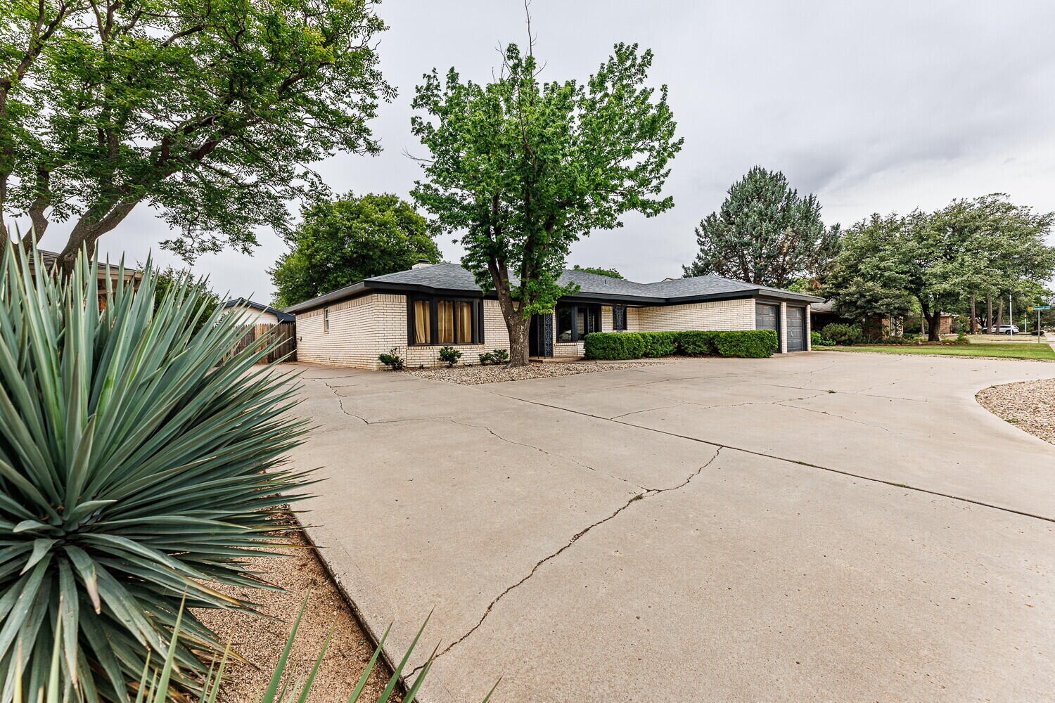 5703 80th Street Lubbock, TX 79424 - Photo 3 of 52 a white house with a large tree with plants