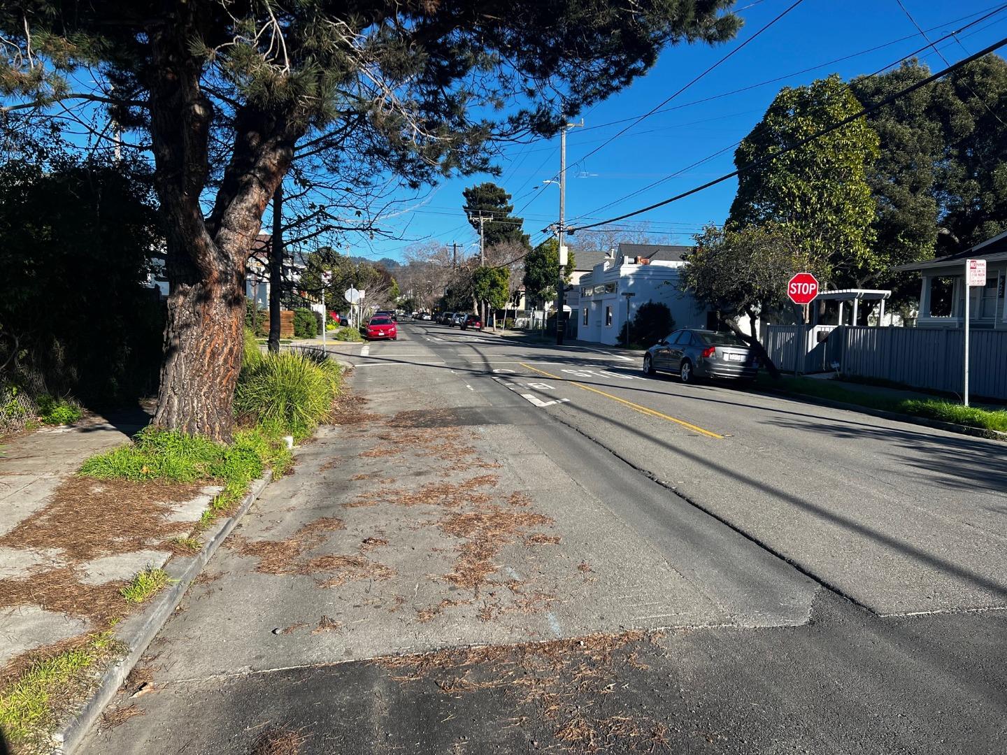 917 Channing Way Berkeley, CA 94710 - Photo 13 of 15 a view of street with parked cars
