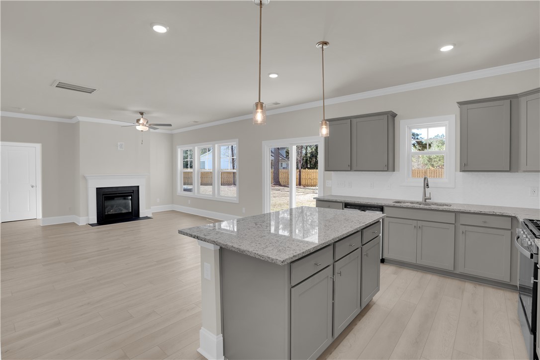 202 Bellflower Lane Pendleton, SC 29670 - Photo 13 of 38 This open concept space features a kitchen island and fireplace, perfect for gatherings.