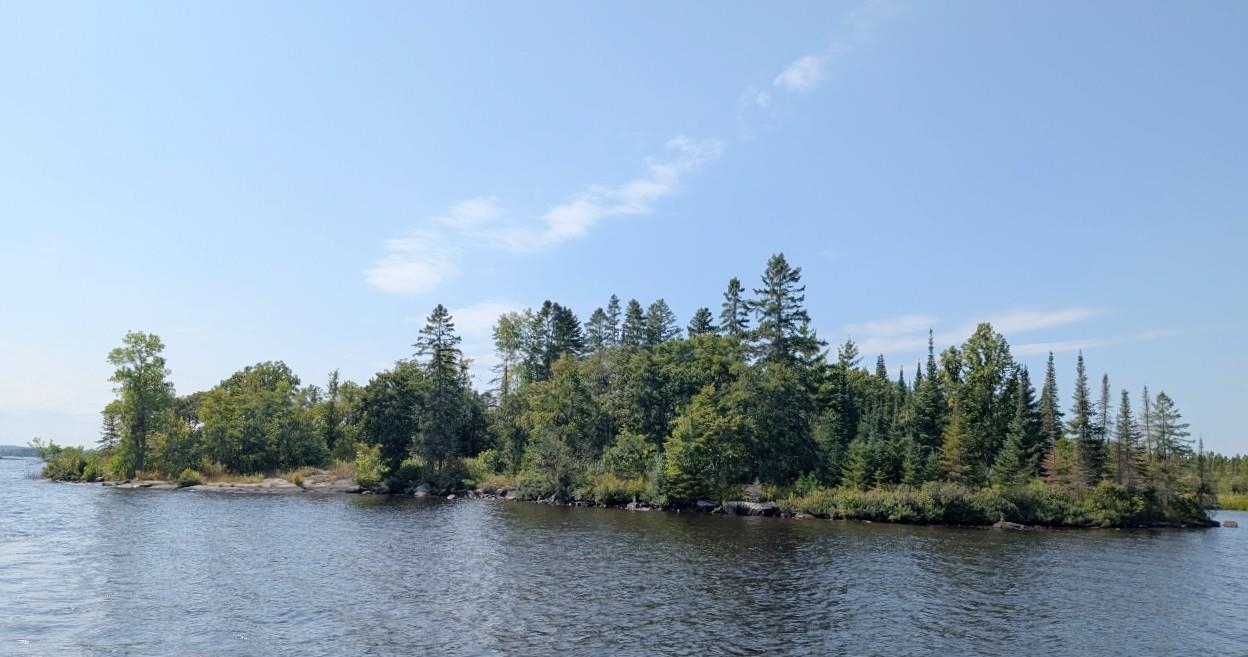 Water view featuring a heavily wooded area