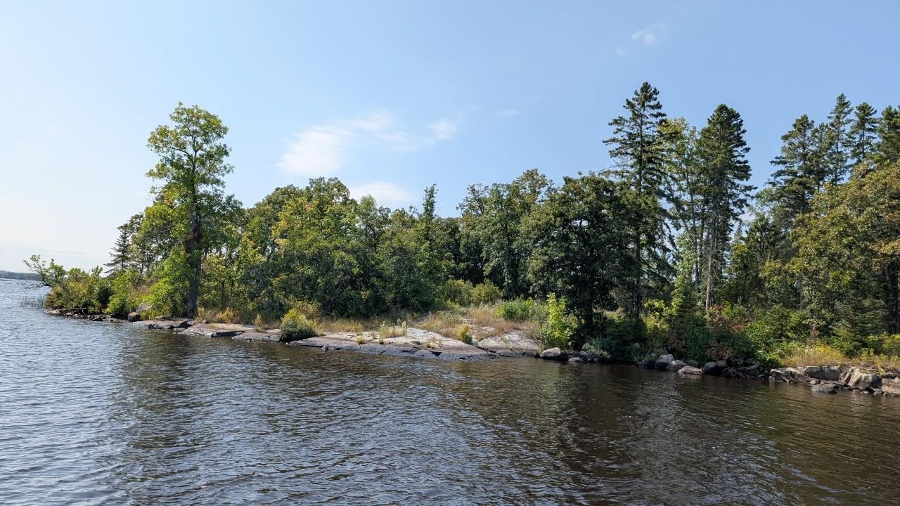 Tbd Tbd Lake Tower, MN 55790 - Photo 8 of 13 Water view featuring a heavily wooded area