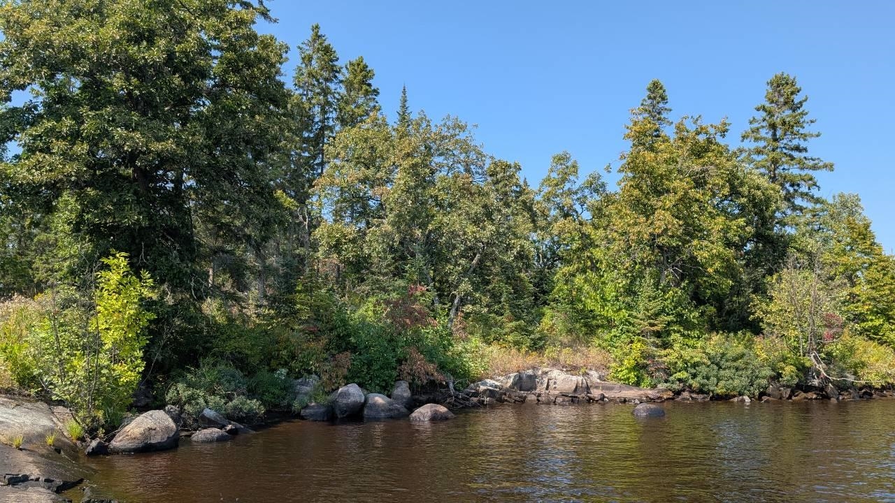 Tbd Tbd Lake Tower, MN 55790 - Photo 10 of 13 Water view with a forest
