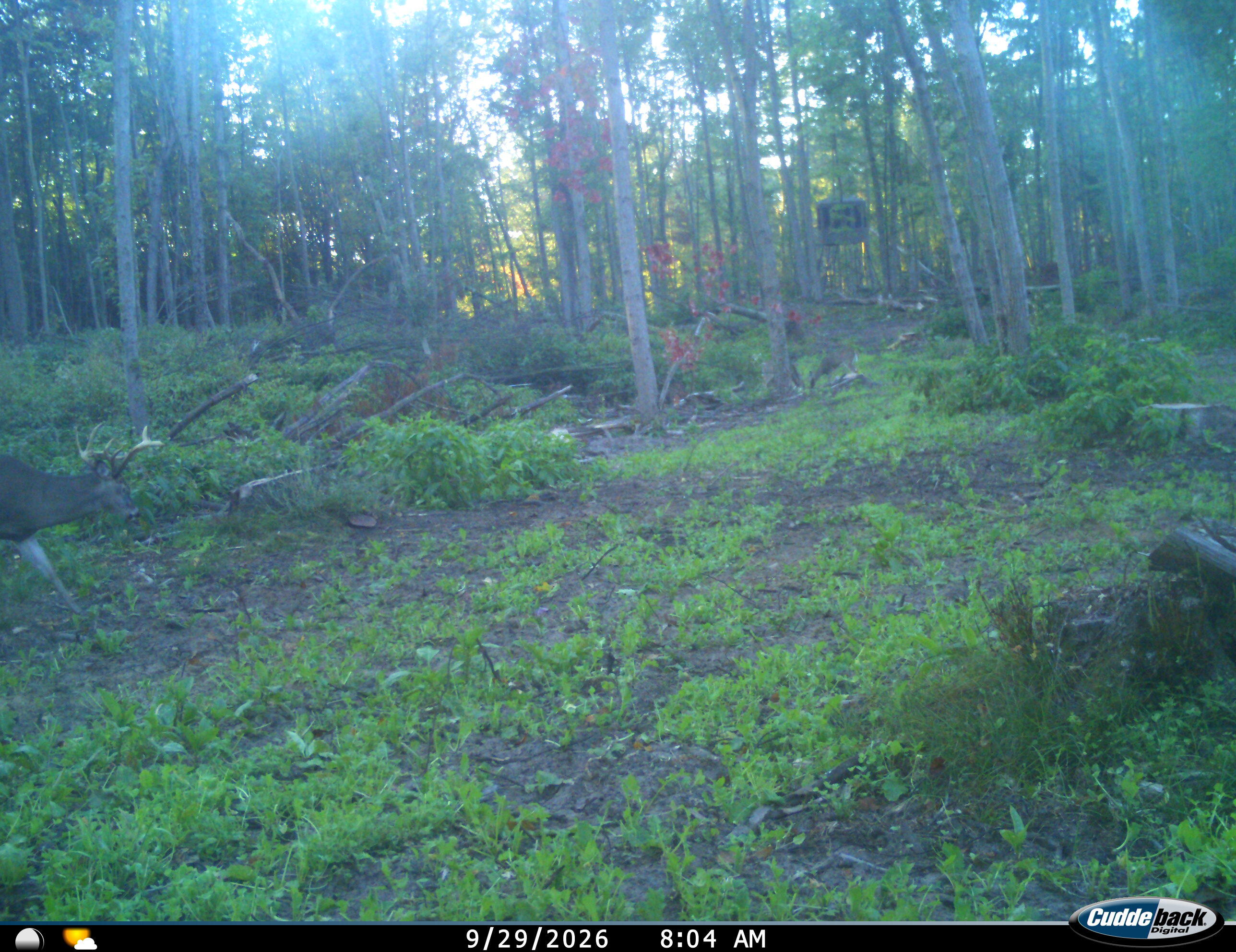 Vl Swenson Road Holton, MI 49425 - Photo 51 of 56 I__01029