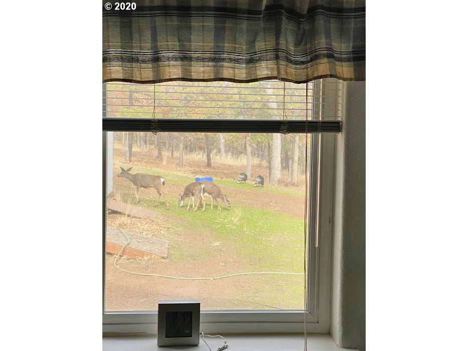 216 Old Mountain Road Goldendale, WA 98620 - Photo 15 of 32 Gallery Image 15
