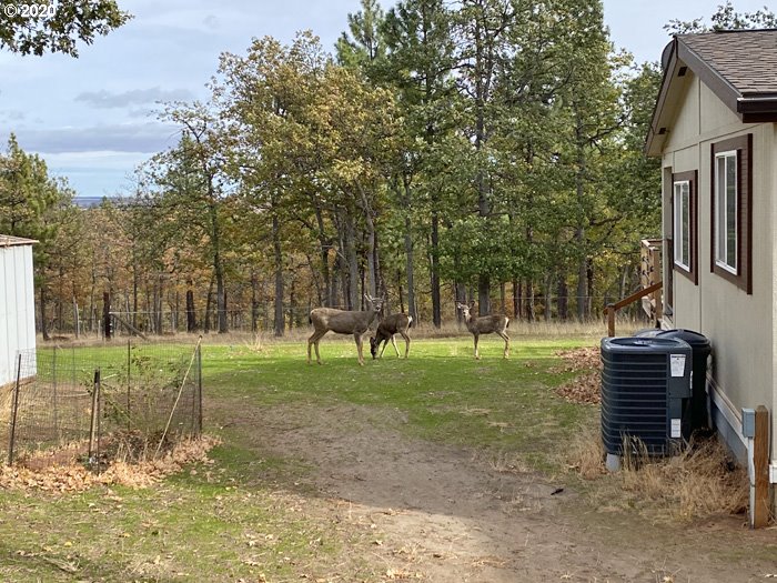 216 Old Mountain Road Goldendale, WA 98620 - Photo 23 of 32 Gallery Image 23