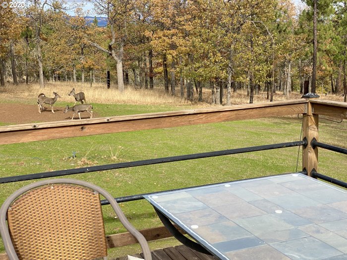 216 Old Mountain Road Goldendale, WA 98620 - Photo 27 of 32 Gallery Image 27