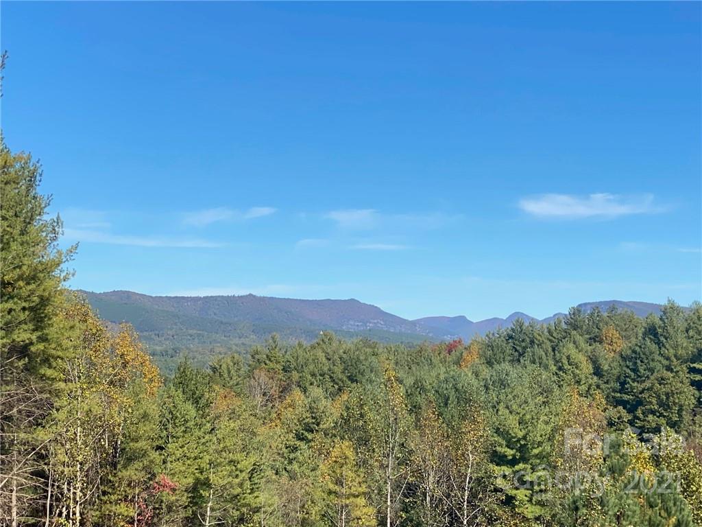 111 Swallowtail Ridge, Unit 117 Nebo, NC 28761 - Photo 2 of 11 Gallery Image 2
