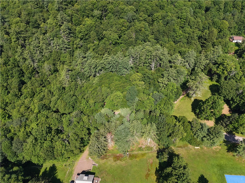 Lot 35 Webster Brook Road Bloomville, NY 13739 - Photo 39 of 42